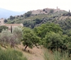 img_2984-c