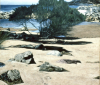 beach-ben-boyd-1988-48x42in-acrylic-pastel-900-m