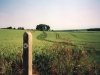 cty-walk-post-900_0