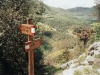 the-olive-grove-path