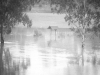 mc-84-flood-14-9
