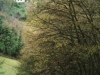 pai-05-41-a-6