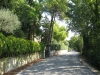 italy-2011-100-6