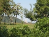 italy-2011-103-c-6