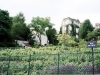 f95-35-vineyard-cemetery-a