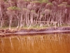 tidal-river-9
