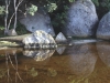 wp0013-9